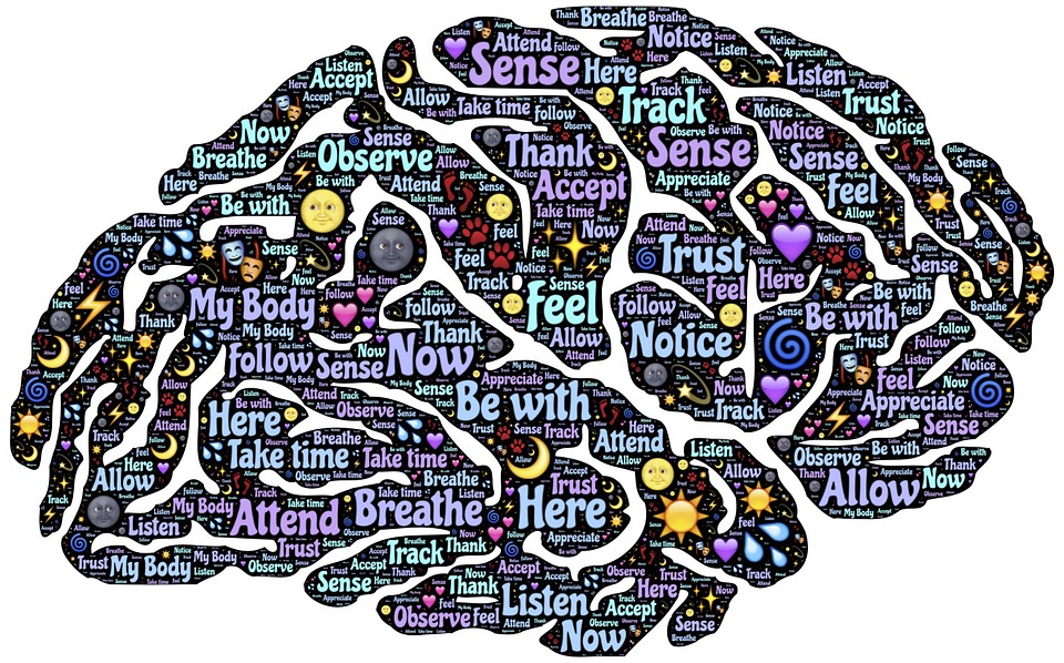 Mindfulness graphic shaped like a brain. (johnhain/Pixabay)