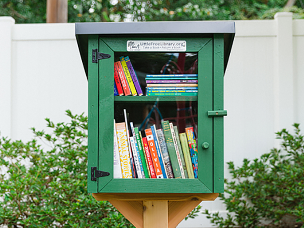 A Little Free Library (LFL) stocked with paperback books. For my Community, Equity & Justice Award project, I will be constructing a LFL for Moten Elementary School. (Courtesy of Little Free Library)