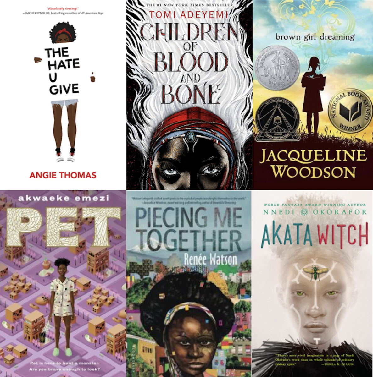 Top left to bottom right: The Hate U Give by Angie Thomas, Children of Blood and Bone by Tomi Adeyemi, Brown Girl Dreaming by Jacqueline Woodson, Pet by Akwaeke Emezi, Piecing Me Together by Renée Watson and Akata Witch by Nnedi Okorafor. (Courtesy of Goodreads)