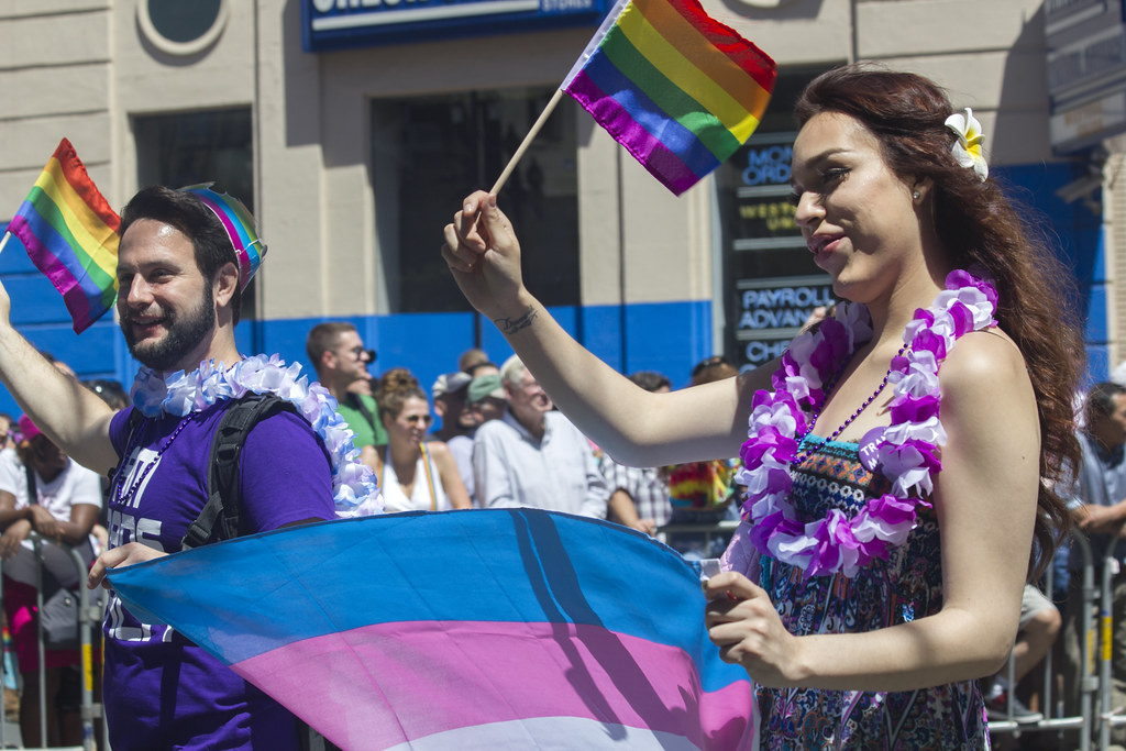 A person holding a transgender flag (Courtesy of Openverse)