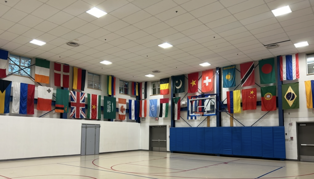 The flags surrounding the WIS primary school gym, a welcoming symbol of WIS’ international mission. (Lucy Randall/International Dateline)