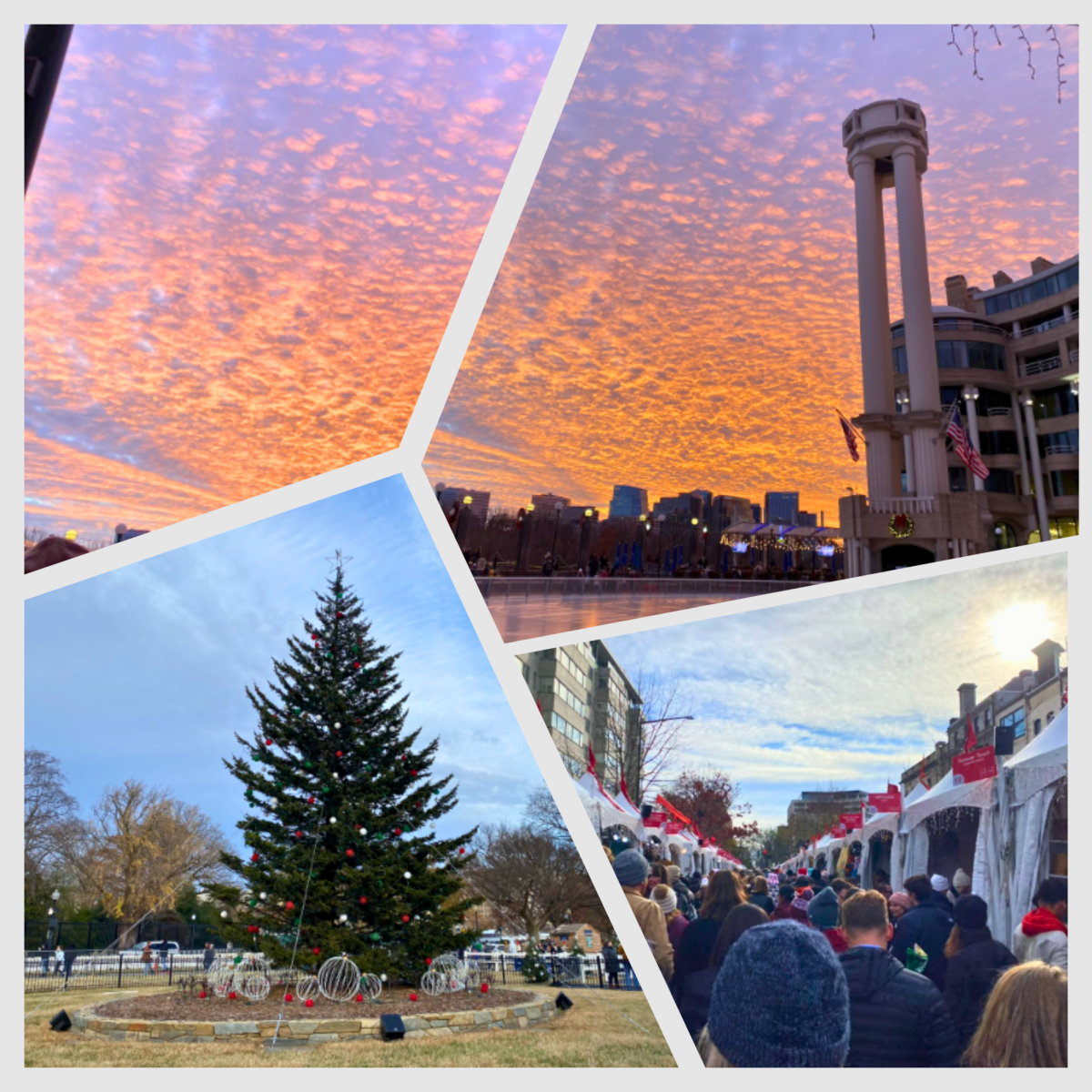 The vibrant sunset, festive holiday market, and iconic National Christmas Tree showcase Washington, D.C.’s seasonal charm, offering magical winter moments. (Courtesy of Victoria Pineda)