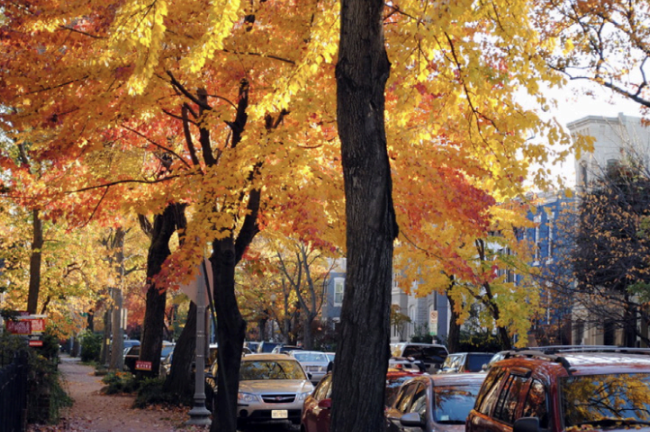 10 Activities to Get Started With Fall