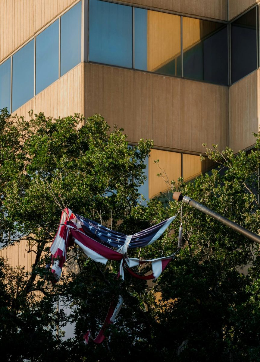The Great American Brain Drain: How Politics Is Driving U.S. Researchers Out
